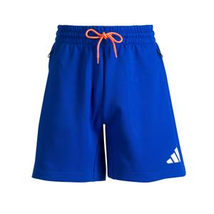 ait-jp4242-pantalones-cortos-de-entrenamiento-francia-2024-25-selubl