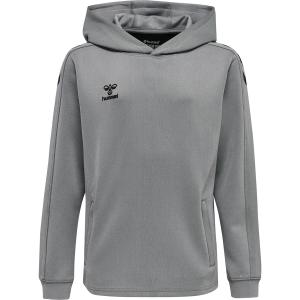 211483-2006-sudadera-con-capucha-para-ni-os-hummel-hmlcore-xk-gris