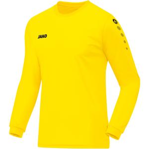 4333-e-03-camiseta-infantil-jako-team-manga-larga-amarillo-limon