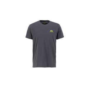 128507-684-camiseta-alpha-industries-backprint-gris-antiguo