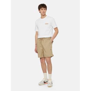 dk0a4xb2ds01-bermudas-dickies-pelican-rapids-arena-del-desierto
