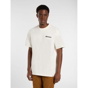 dk0a87qpc481-camiseta-dickies-statesville-garceta