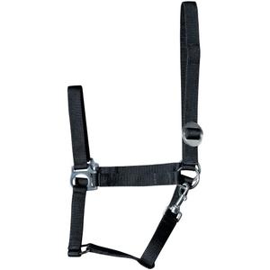 31000925-zwart-cabezada-para-caballos-harry-s-horse-economy-zwart