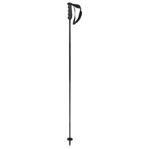 381784-bastones-de-esqui-head-porsche-carbono-negro-blanco