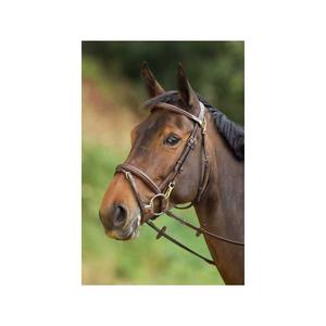 hfi003br-bridas-de-equitacion-hfi-functional-marron
