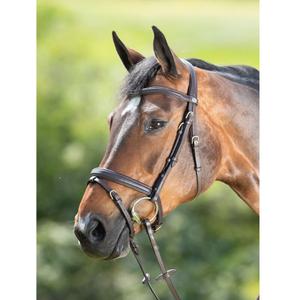 hfi015br-bridas-de-equitacion-hfi-soft-marron