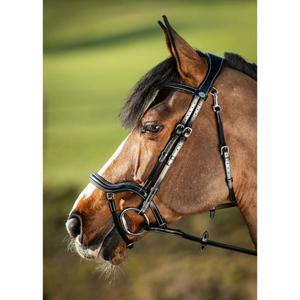 hfi016bk-bridas-de-equitacion-hfi-techno-negro