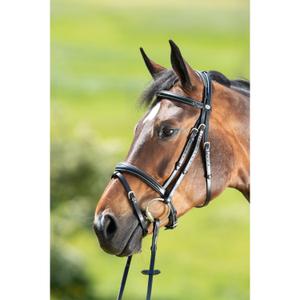 hfi013bk-bridas-de-equitacion-hfi-technical-negro