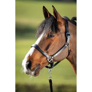 hfi1631bkco-cabezada-de-cuero-para-caballos-hfi-two-tone-negro-co-ac