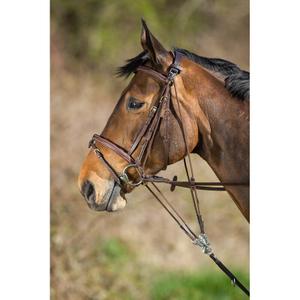 sam323br-gogue-para-caballos-hfi-marron