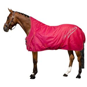 de50314004-3000-manta-de-exterior-para-caballos-imperial-riding-super-dry-300-g-rojo
