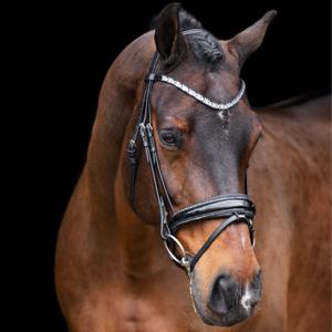 ho40323005-9545-bridas-de-montar-imperial-riding-olympia-negro-plata