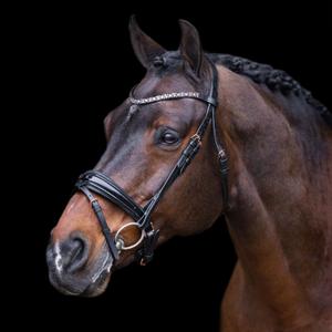ho40323005-9584-bridas-de-montar-imperial-riding-olympia-negro-oro-rosa