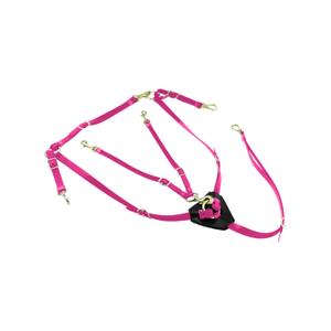 lk3036-pink-collar-de-caza-para-caballo-en-biothane-con-martingala-lakota-rosa-tu