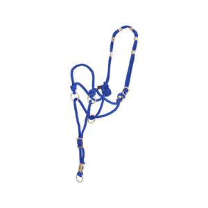 ca00150-turquoise-cabestro-para-caballos-pool-s-direction-2020-turquesa-tu