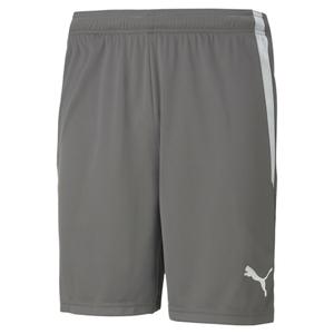 704924-13-pantalon-corto-puma-team-liga-gris-blanco