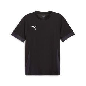 705747-03-camiseta-puma-teamgoal-matchday-negro