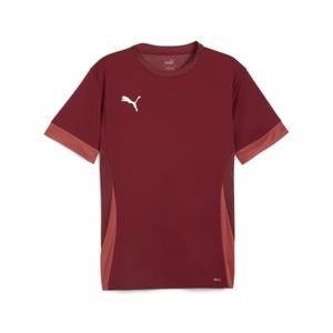 705747-09-camiseta-puma-teamgoal-rojo