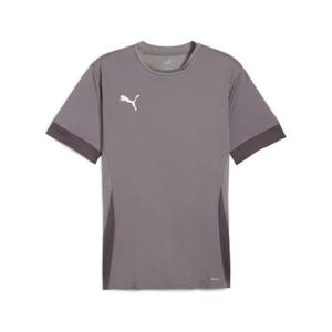 705747-13-camiseta-puma-teamgoal-matchday-gris