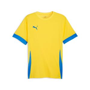 705747-17-camiseta-puma-teamgoal-amarillo