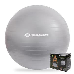 960155-pelota-de-gimnasia-schildkrot-plata