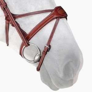 n02c-cinta-nasal-para-caballos-silver-crown-spider-conker-completo