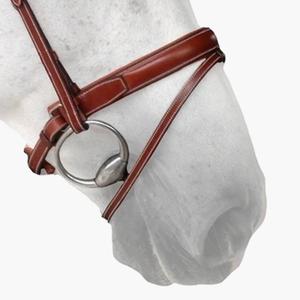 n13c-cinta-nasal-para-caballos-silver-crown-pull-back-conker-completo