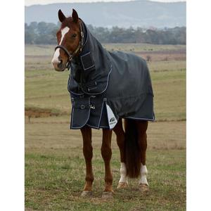 1028772001-manta-de-exterior-para-caballos-weatherbeeta-comfitec-ultra-100g-carbon-vegetal