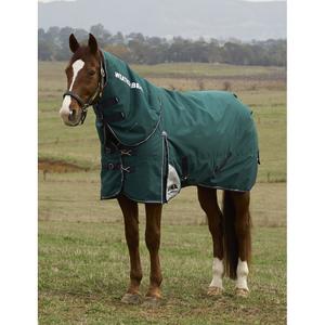 1029003001-manta-de-exterior-para-caballo-desmontable-al-cuello-weatherbeeta-comfitec-plus-dynamic-100g-forest-green-navy